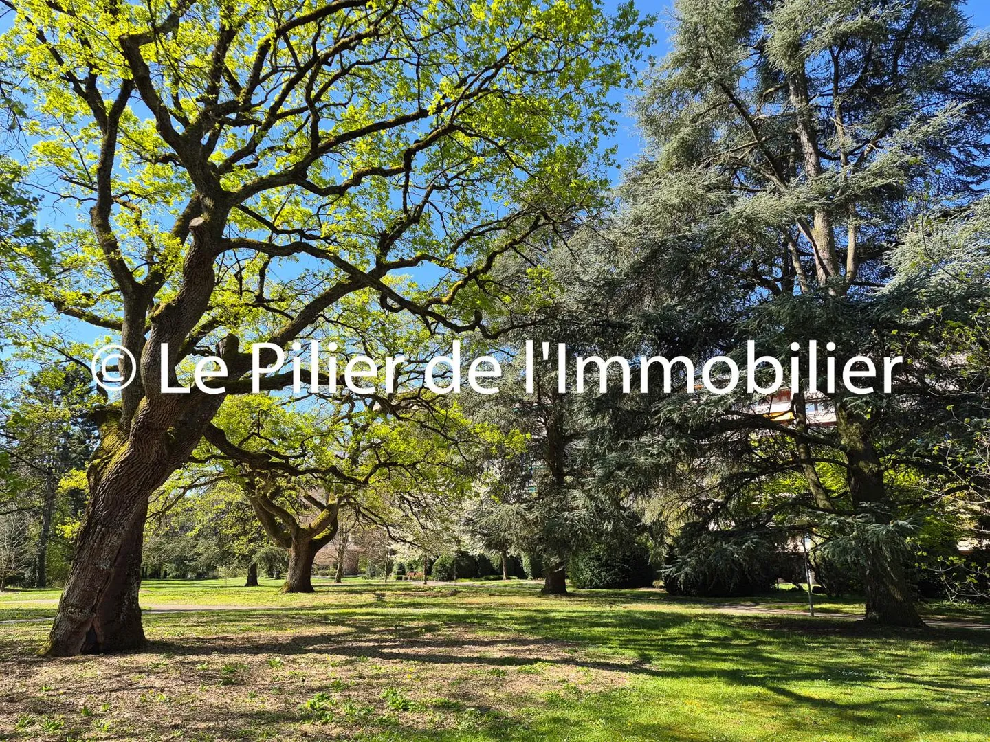 Appartement Prestigieux avec Piscine - Photo 2 sur 6