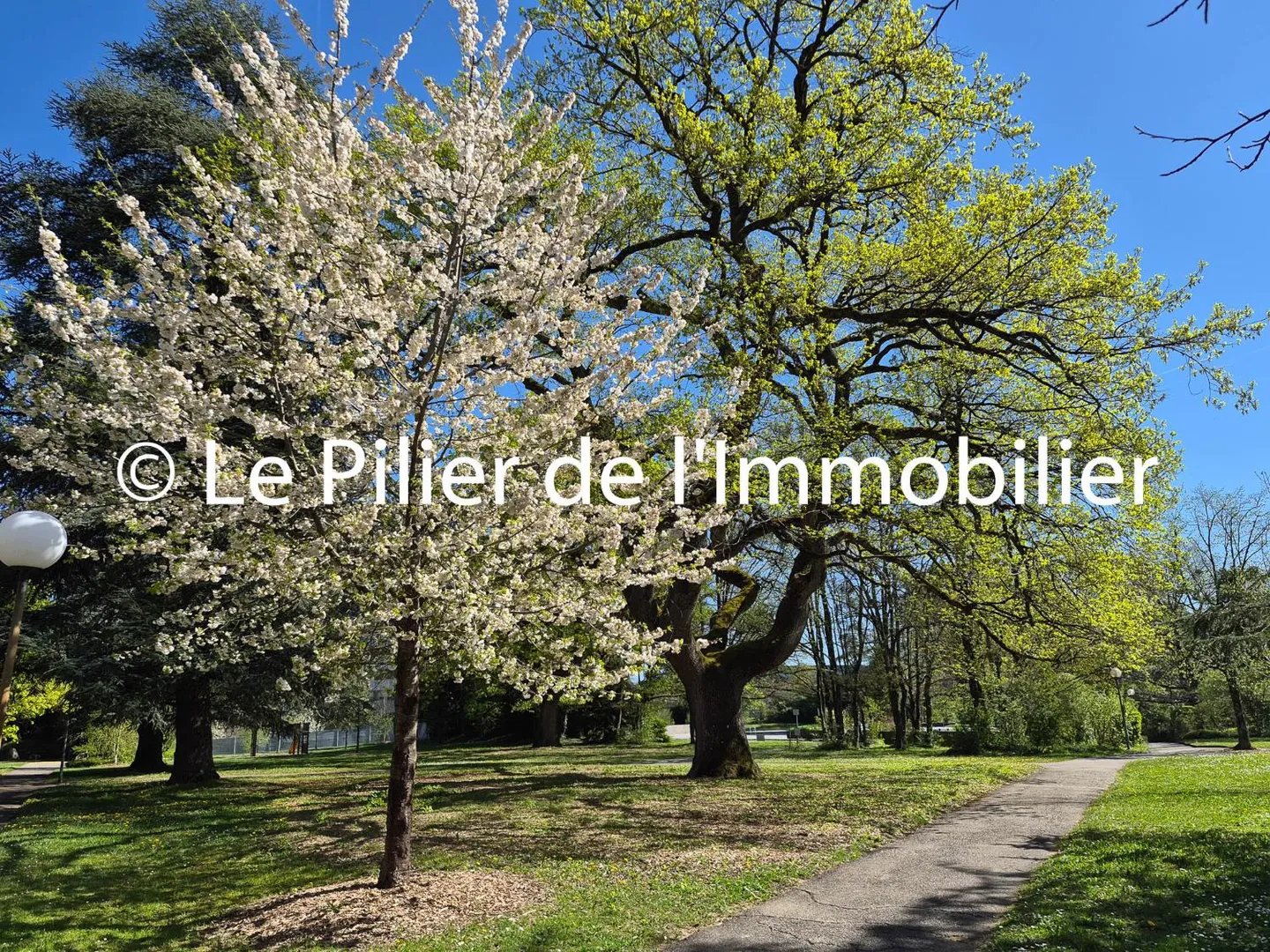 Appartement Prestigieux avec Piscine - Photo 3 sur 6