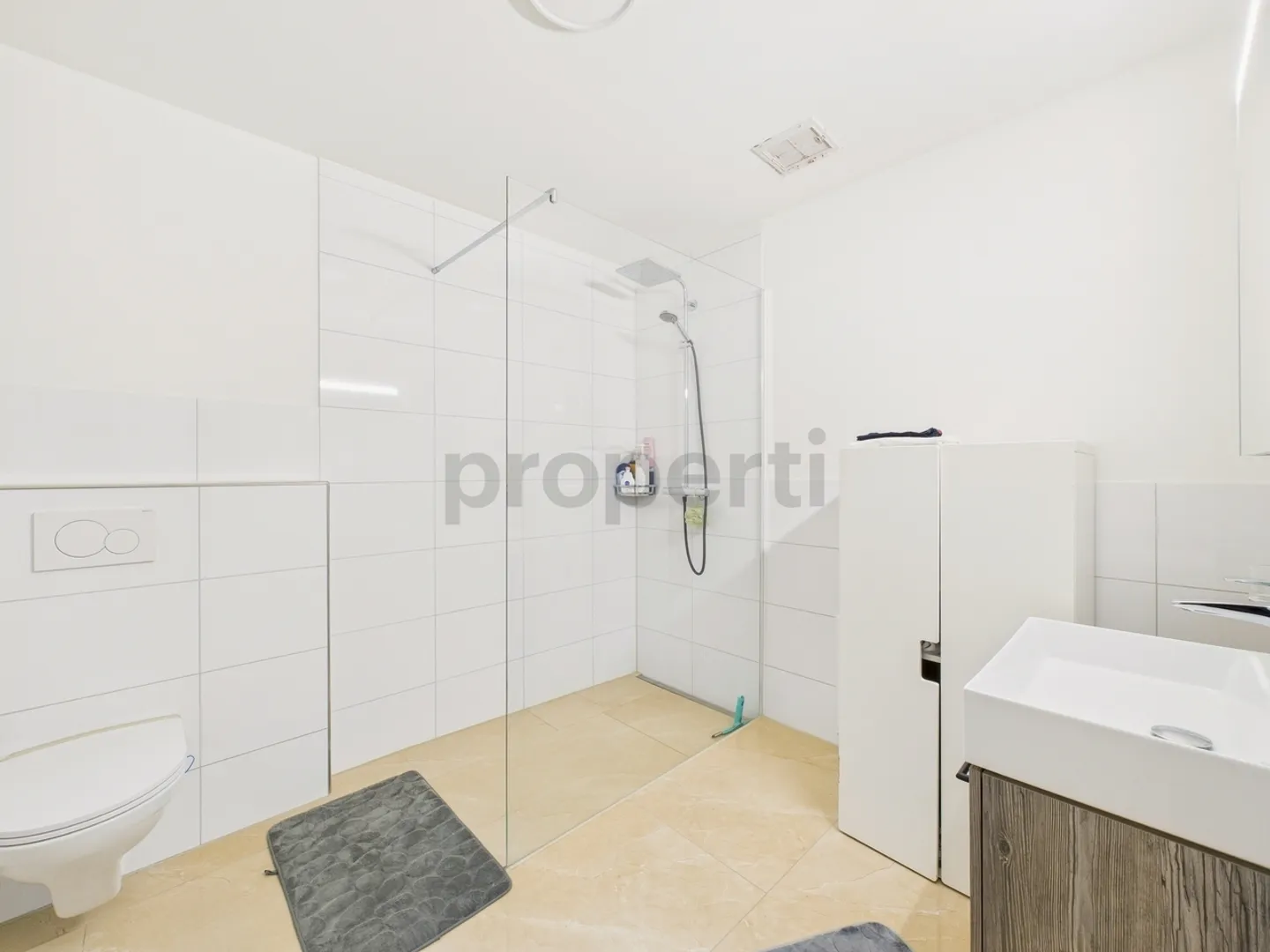 4.5 Room Apartment - Photo 8 of 12