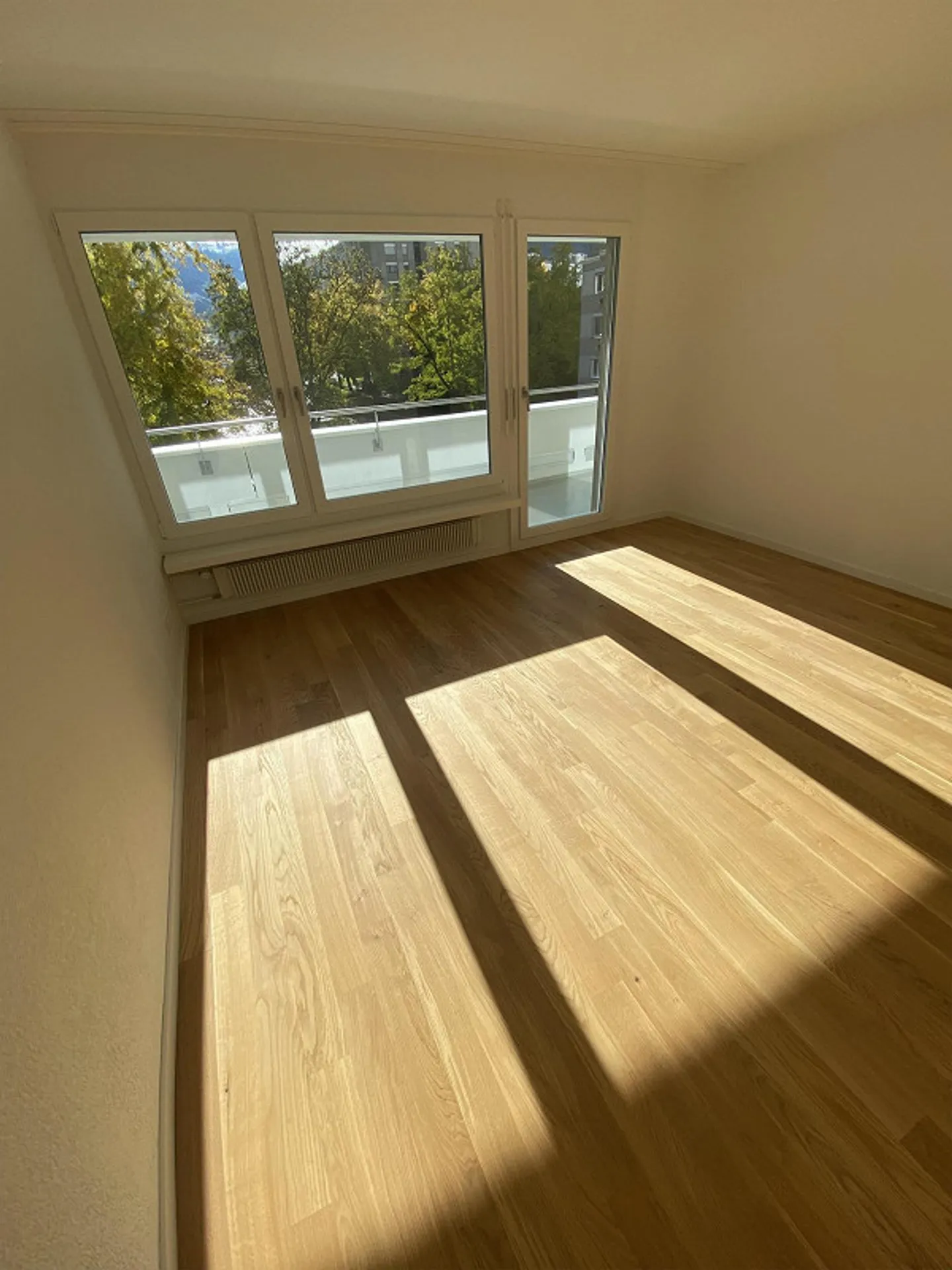 Looking for a new tenant for a spacious 5 1/2 room apartment - Photo 5 of 12