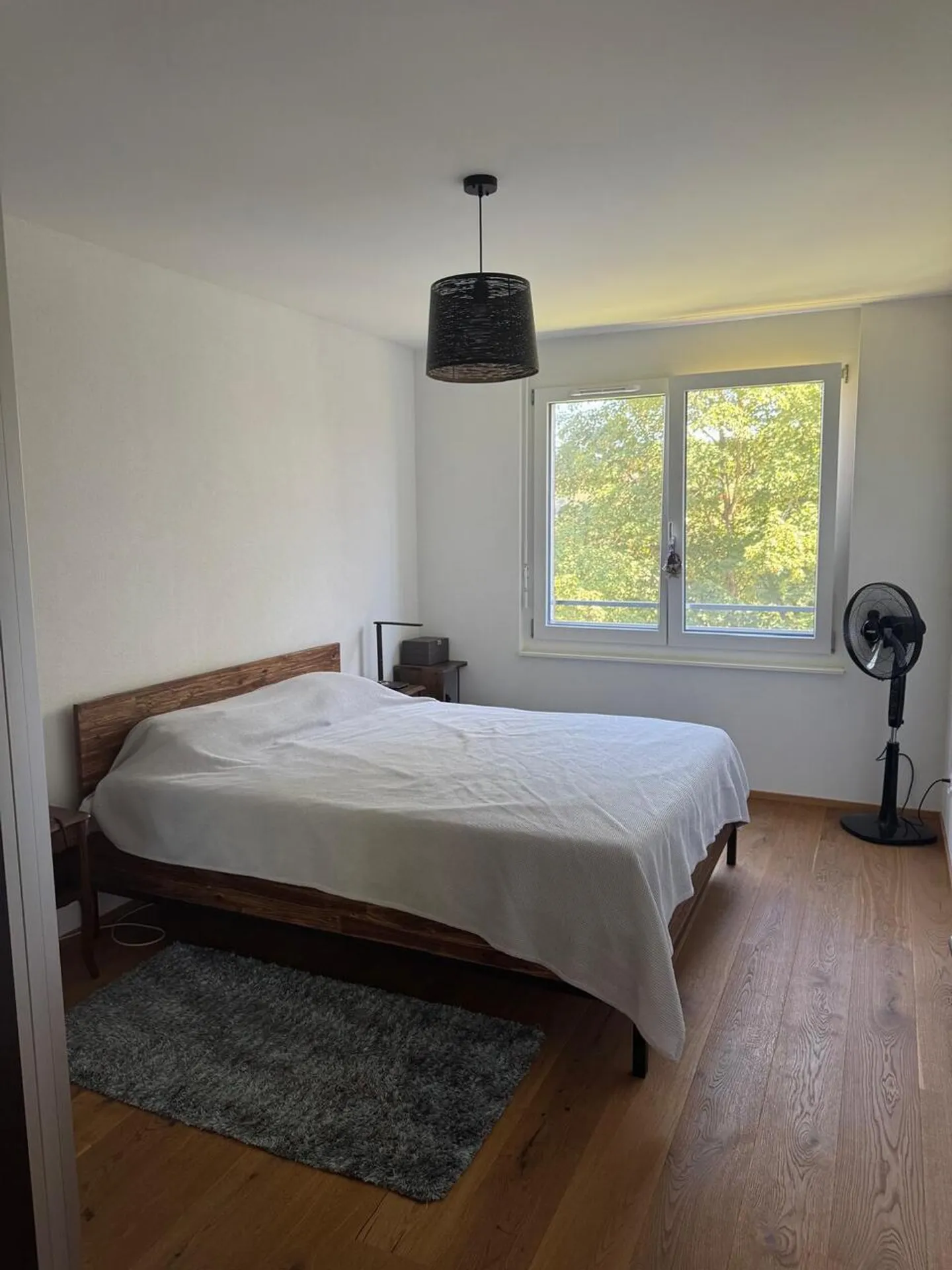 Beautiful 5.5 room apartment on the 3rd floor - Photo 7 of 15