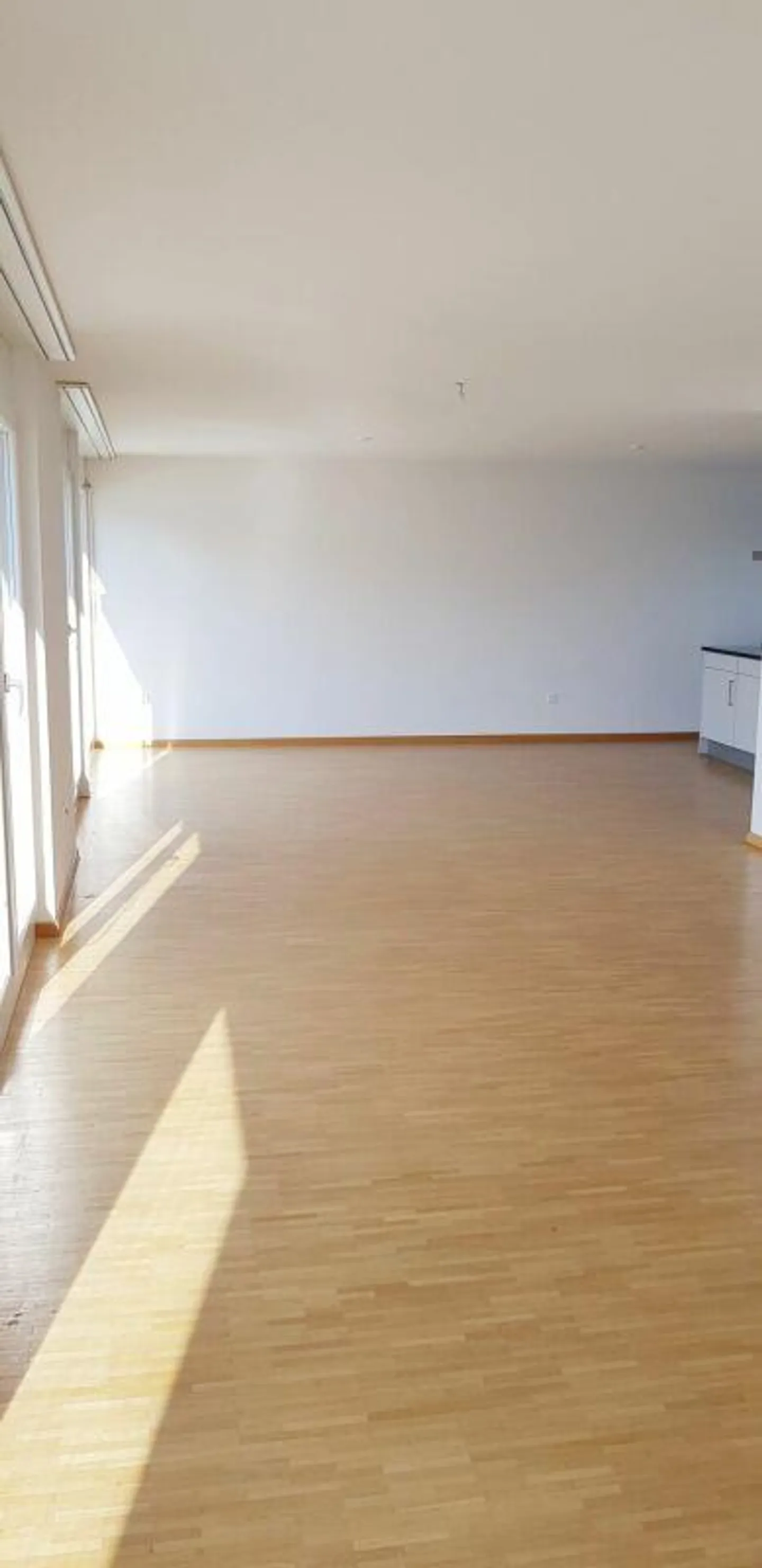 Welcome Home! - Huge Terrace, Open Kitchen, Private Laundry... - Photo 8 of 9