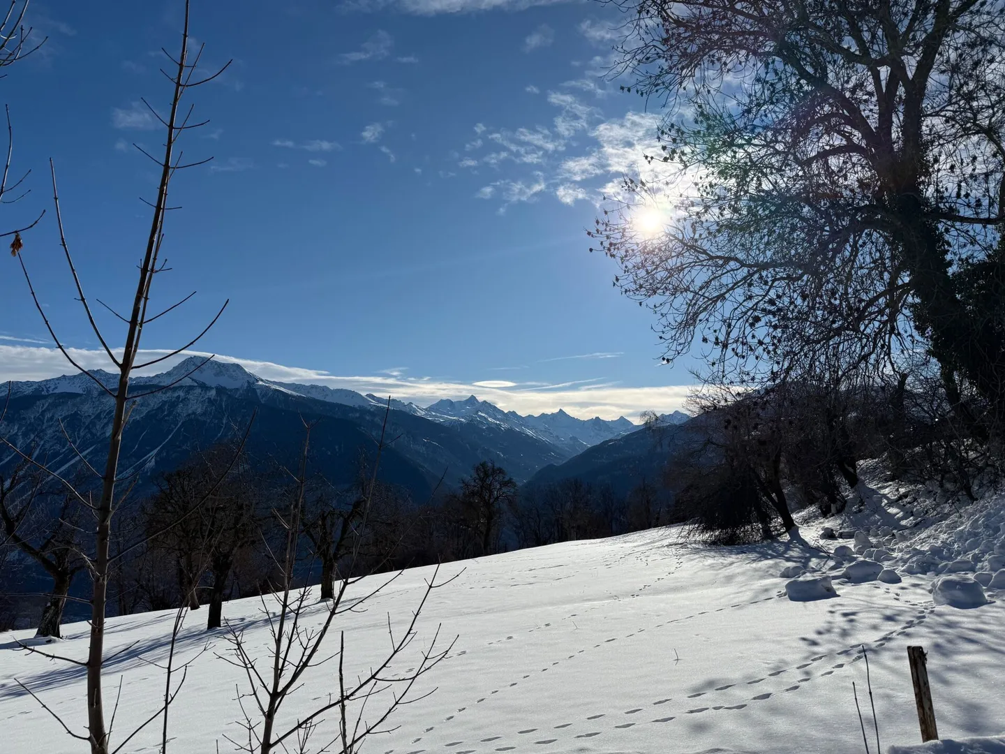 Tsampé-Promotion - Foto 4 von 13