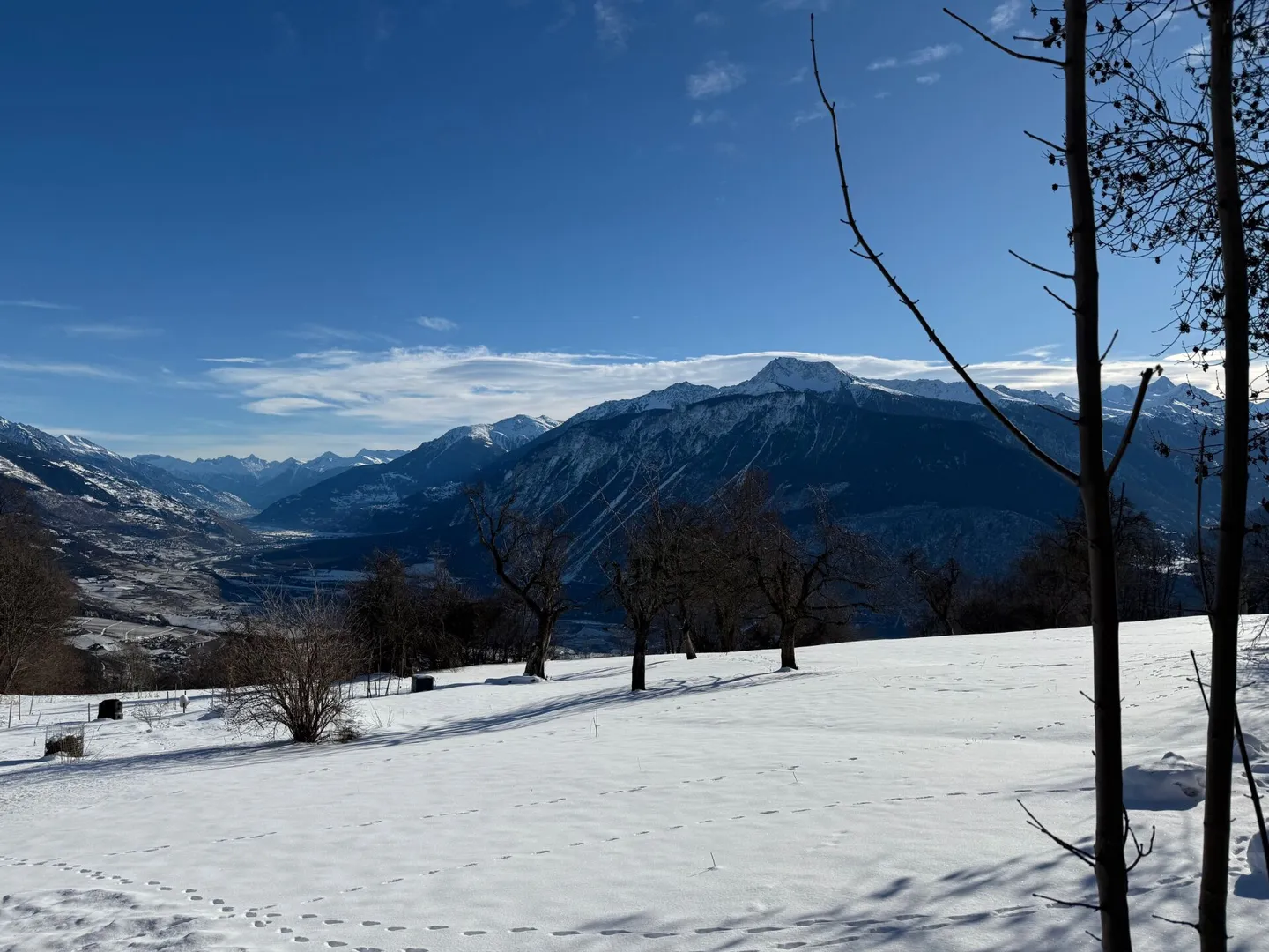 Tsampé-Promotion - Foto 5 von 13