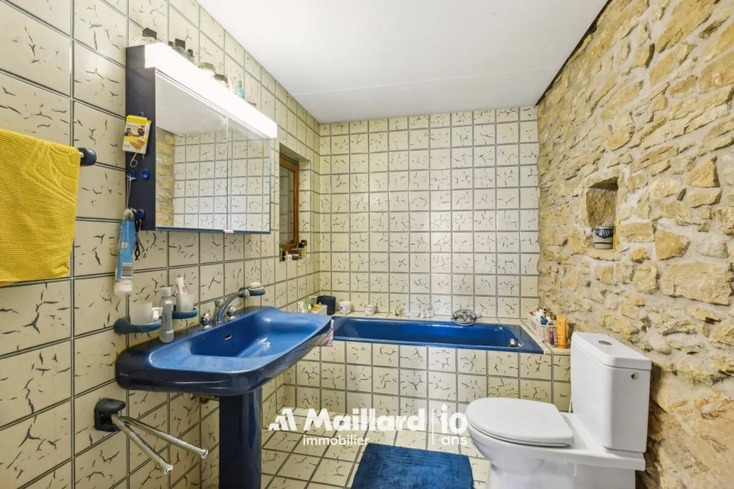 11-Room Mansion in Champagne - Photo 10 of 13