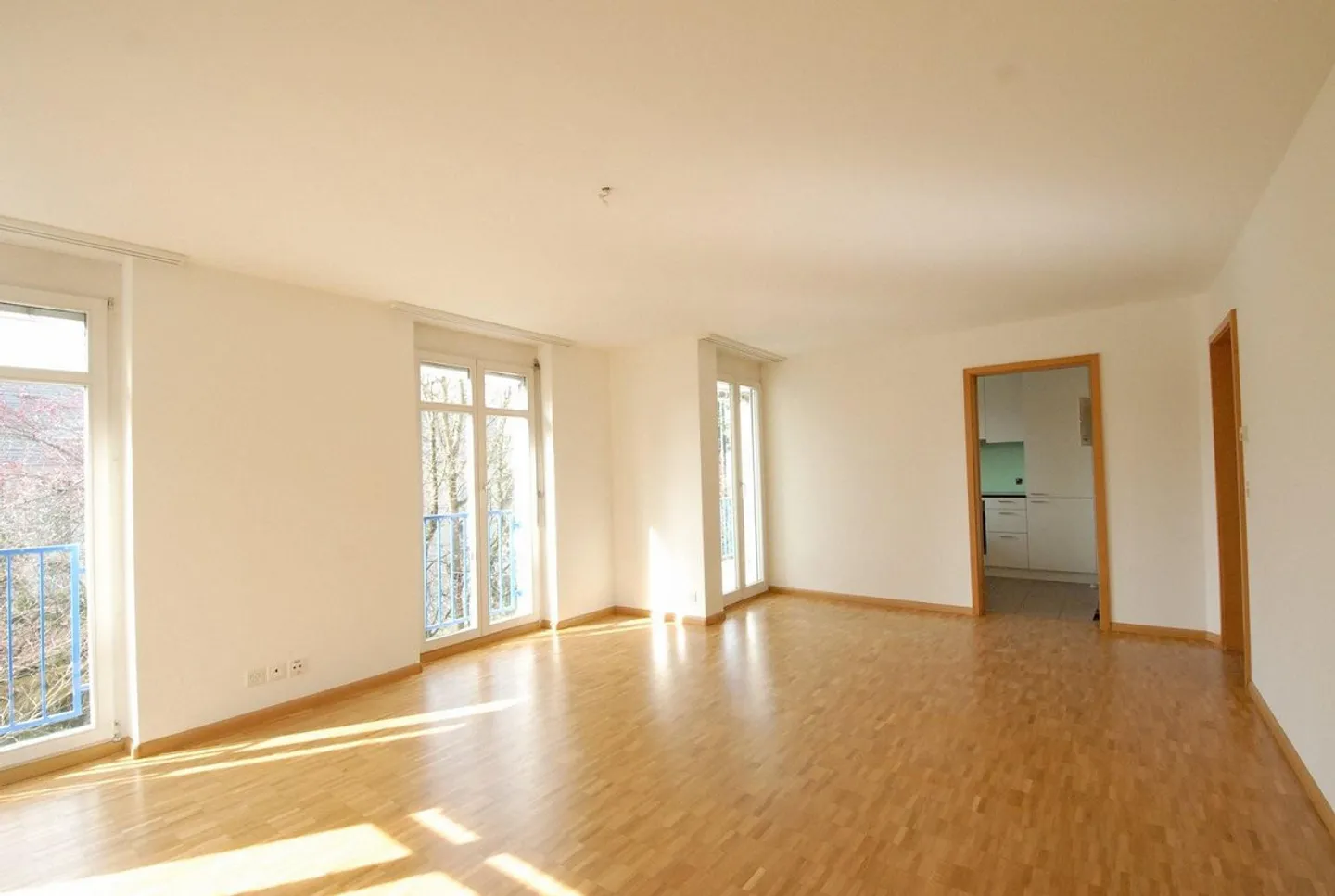 Appartamento soleggiato con 3 stanze ad Arlesheim - Foto 4 di 11