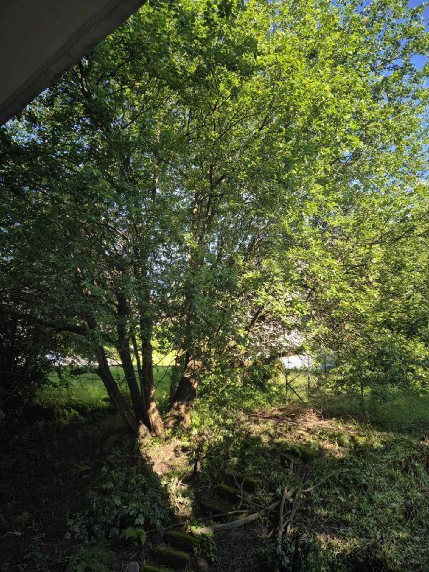 Well-maintained 4-room apartment in St. Gallen - Photo 12 of 12