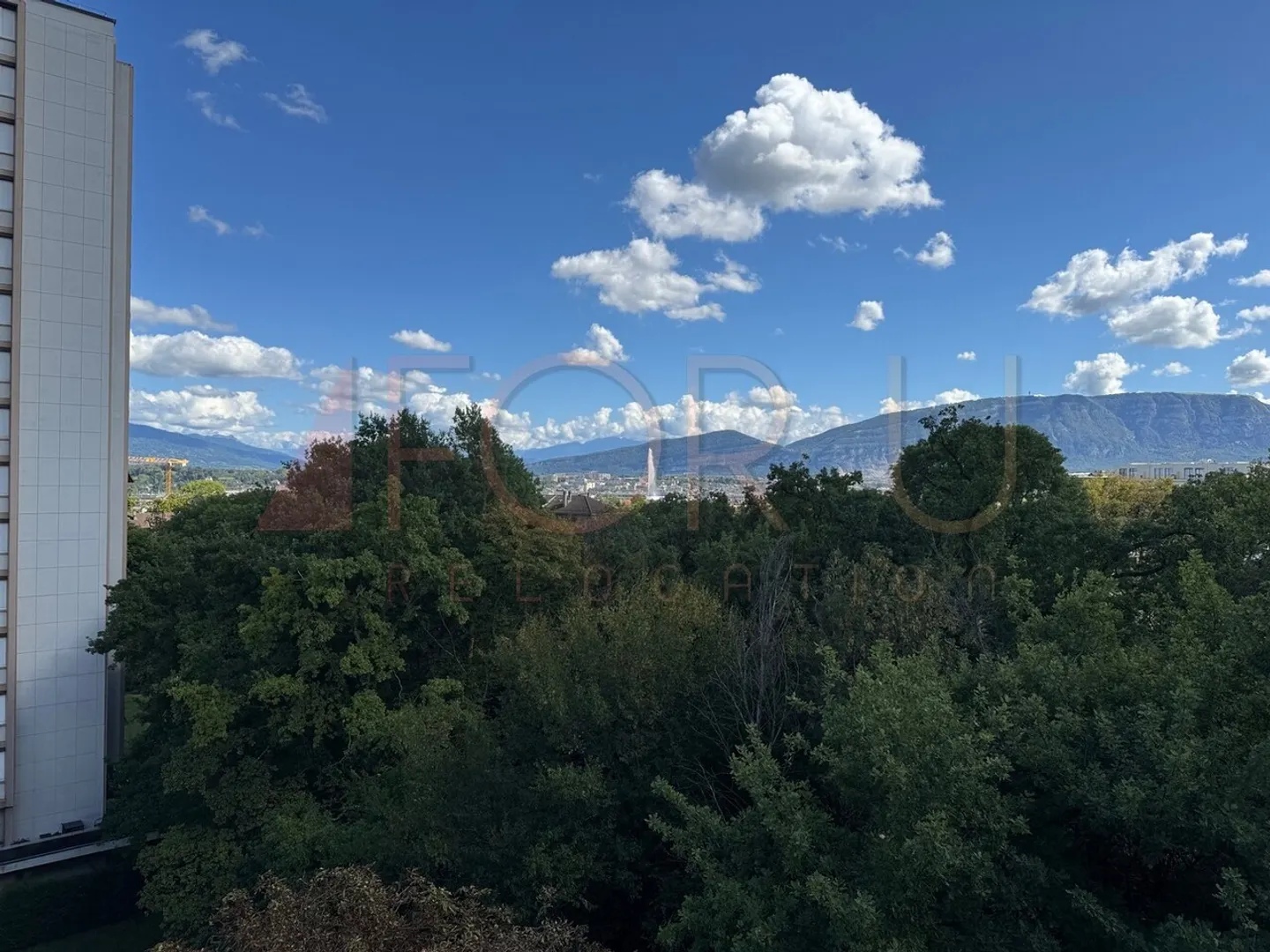 Superb 6.5 room penthouse new with 2 terraces and view near the UN - Photo 21 of 21