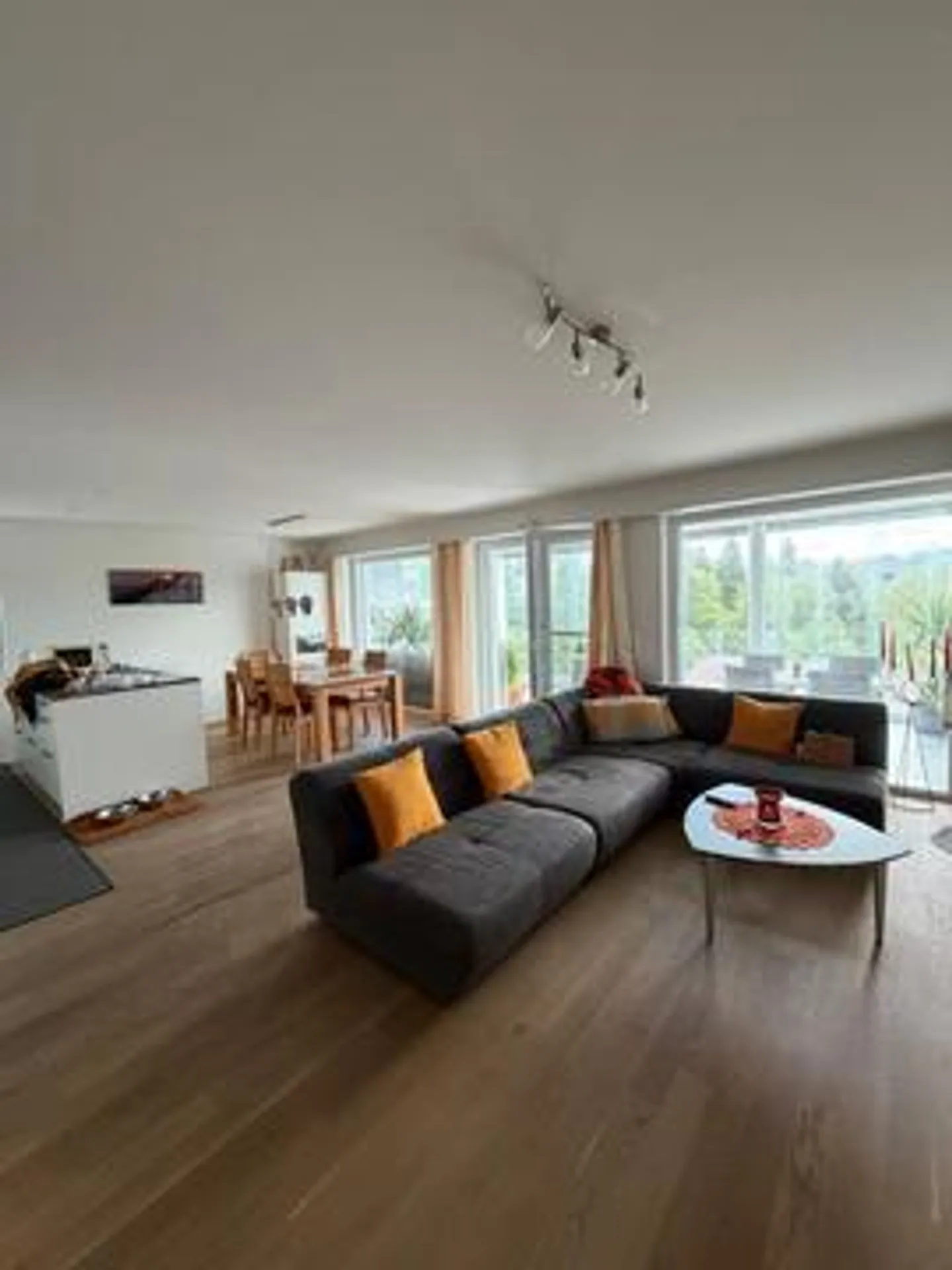 Spacious 4 1/2 Room Apartment with Veranda (Winter Garden) - Photo 16 of 26