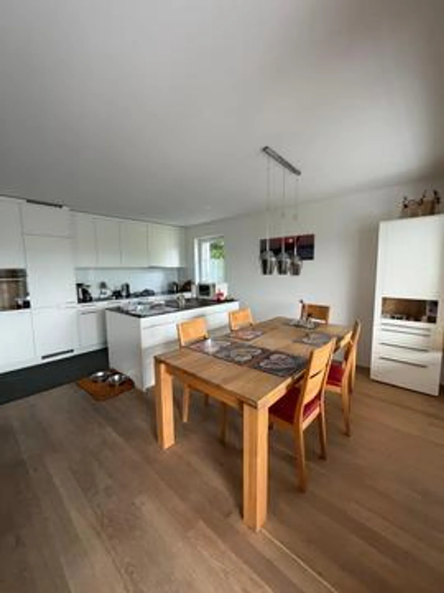 Spacious 4 1/2 Room Apartment with Veranda (Winter Garden) - Photo 18 of 26