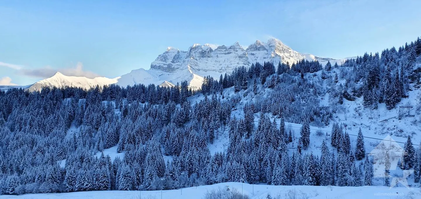 Champoussin, appartamento arredato di 2.5 locali con terrazza - Foto 2 di 11