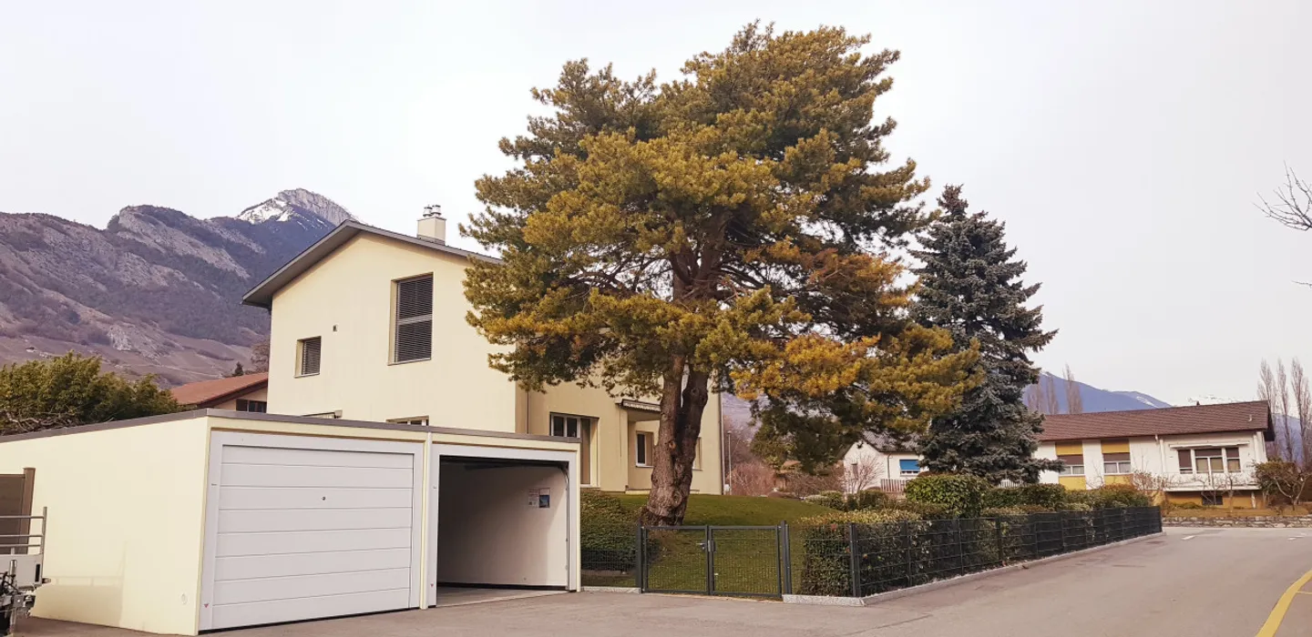 Charmant et lumineux 4.5p au rez d'une maison avec jardin - Photo 7 sur 10