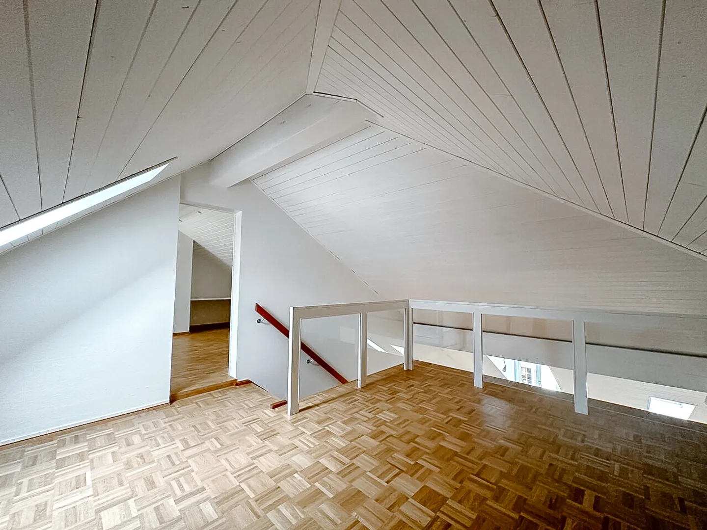 Duplex attico ristrutturato nel vecchio Carouge - Foto 1 di 10