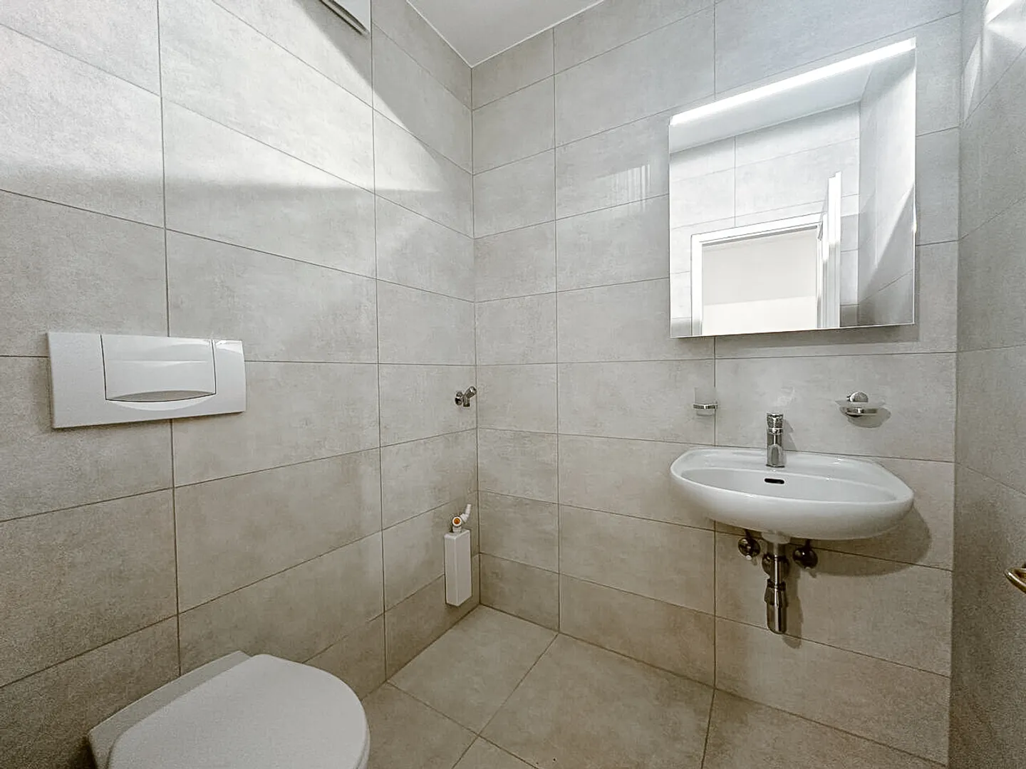 Duplex attico ristrutturato nel vecchio Carouge - Foto 10 di 10