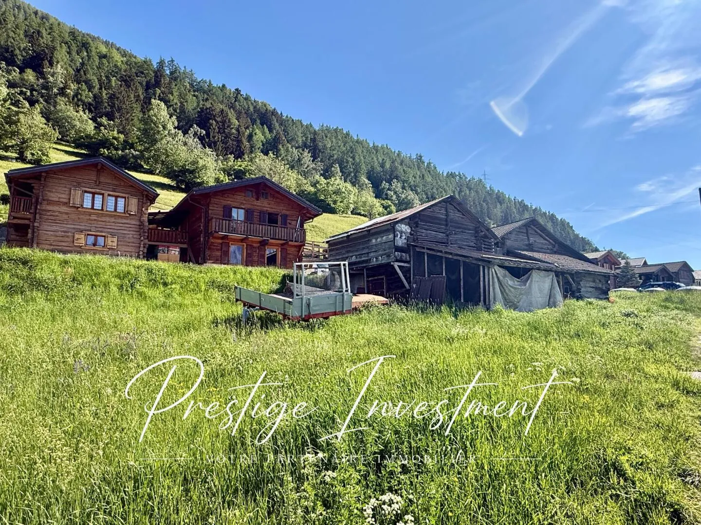 Terreno edificabile con fienile e stalla per cavalli da ristrutturare Nendaz - Foto 1 di 10