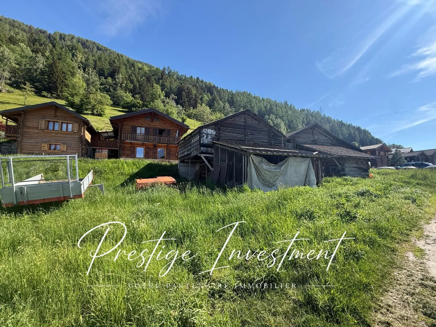 Terreno edificabile con fienile e stalla per cavalli da ristrutturare Nendaz - Foto 9 di 10