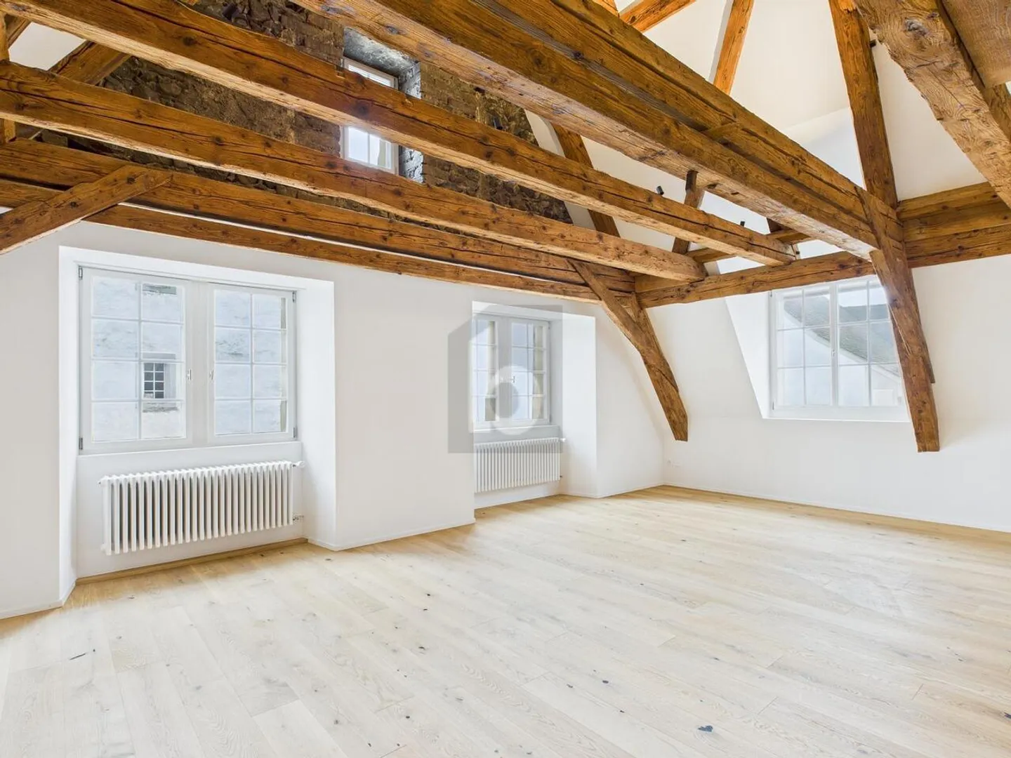 MOST MODERN STANDARD, HISTORICAL, BEST LOCATION - Photo 1 of 6