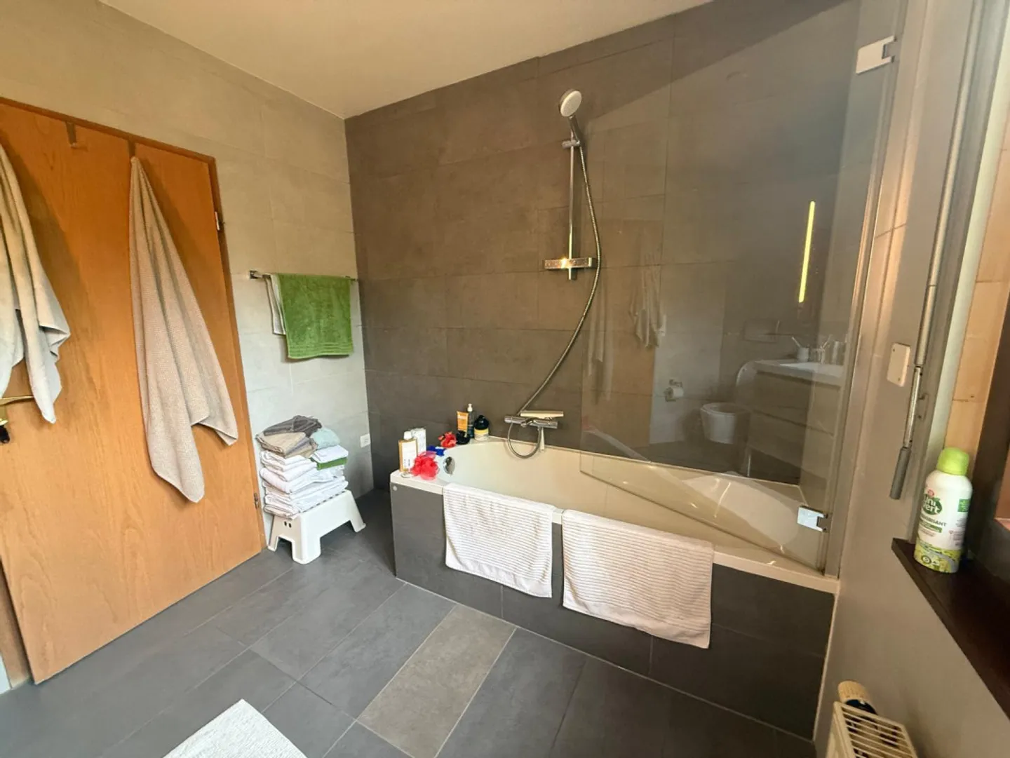 Casa Familiare Spaziosa a Thônex - Foto 4 di 12
