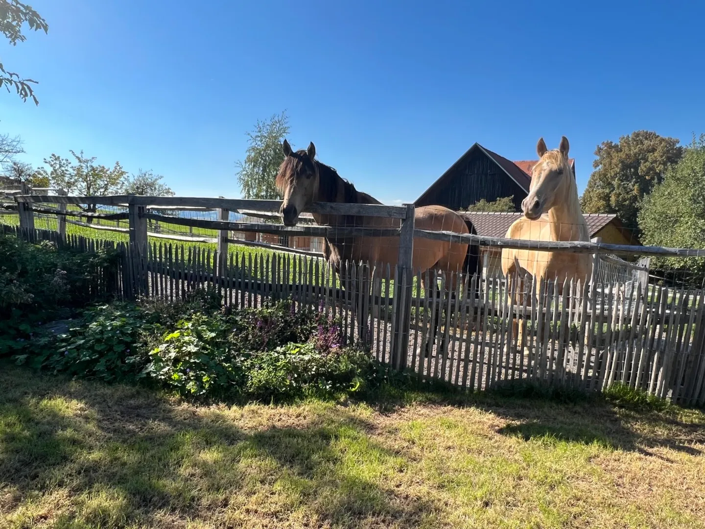 Außergewöhnliches und vollständig renoviertes Bauernhaus mit negativen Kosten - Foto 1 von 17