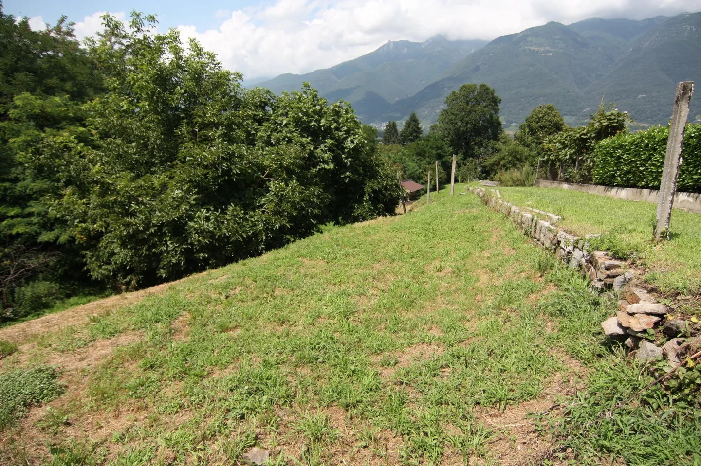 Building Land Cadenazzo - Photo 4 of 5