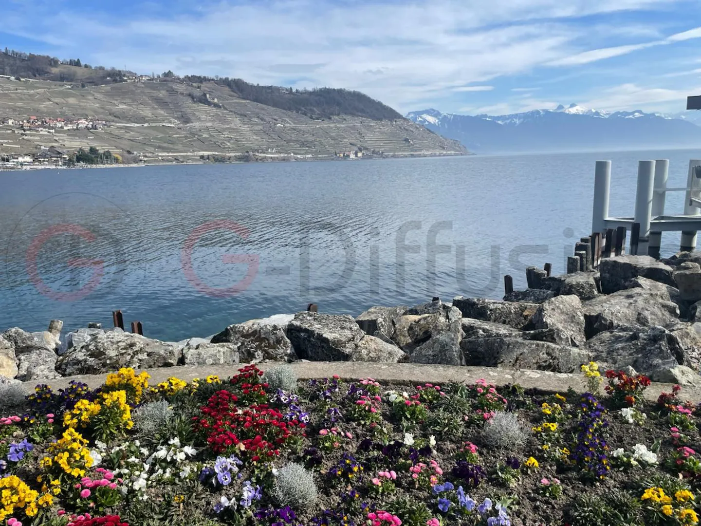 Appartement spacieux avec une vue panoramique sur le Lac Léman et le Lavaux - Photo 14 sur 14