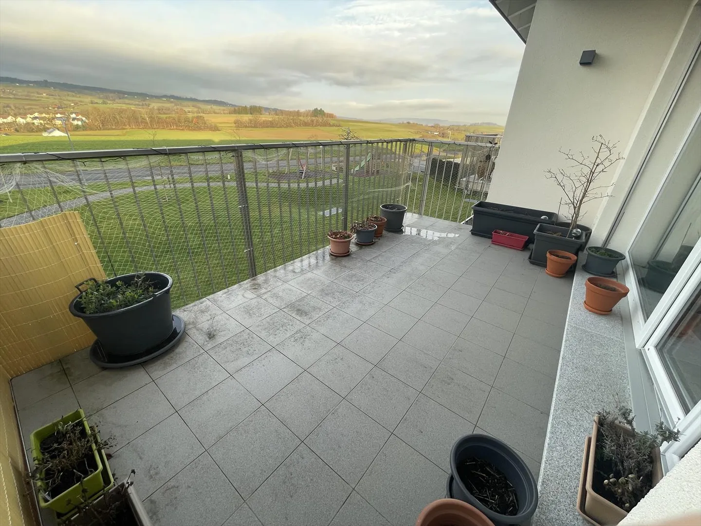 3.5 Room Apartment - Photo 6 of 11