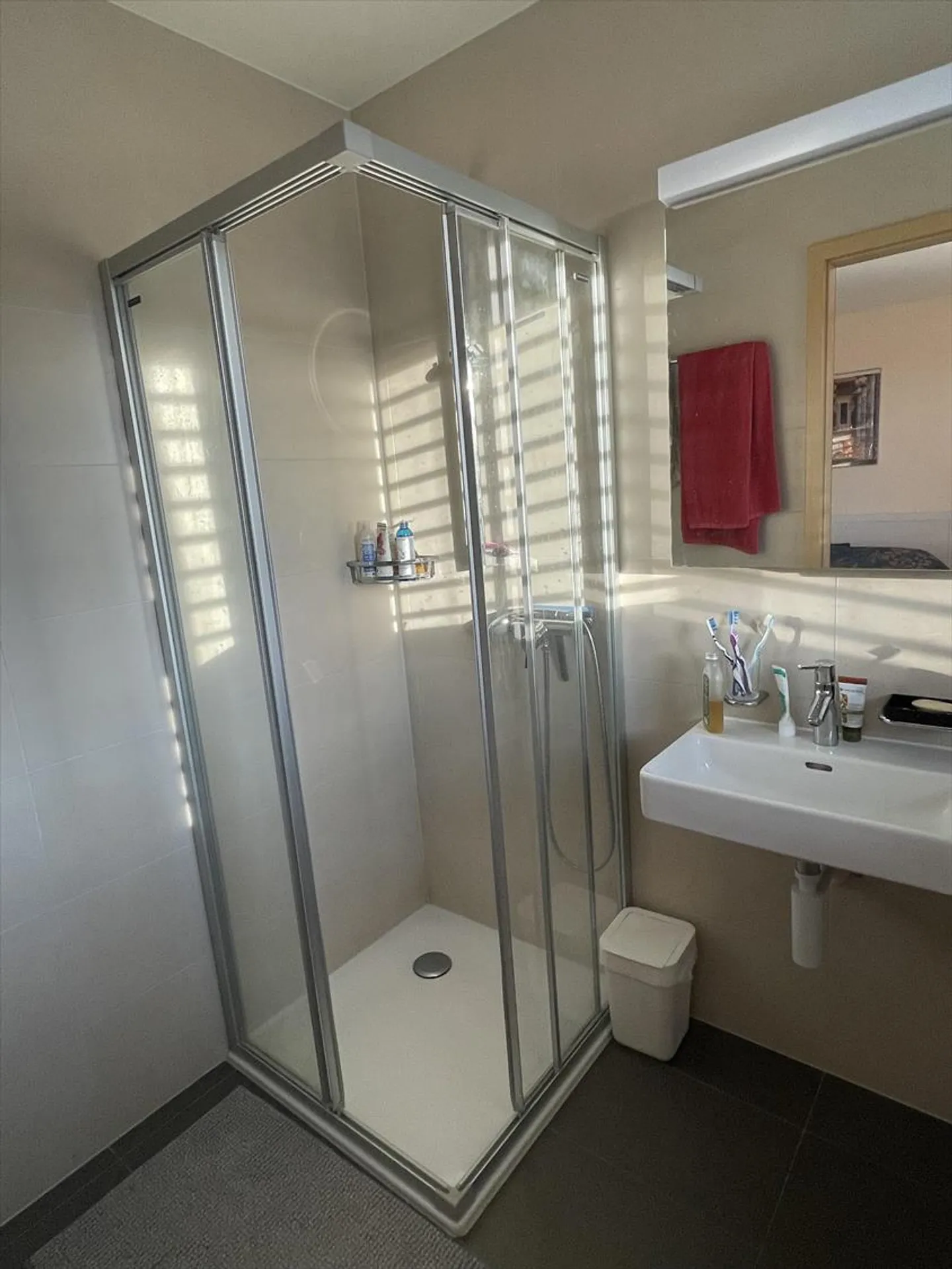 3.5 Room Apartment - Photo 9 of 11