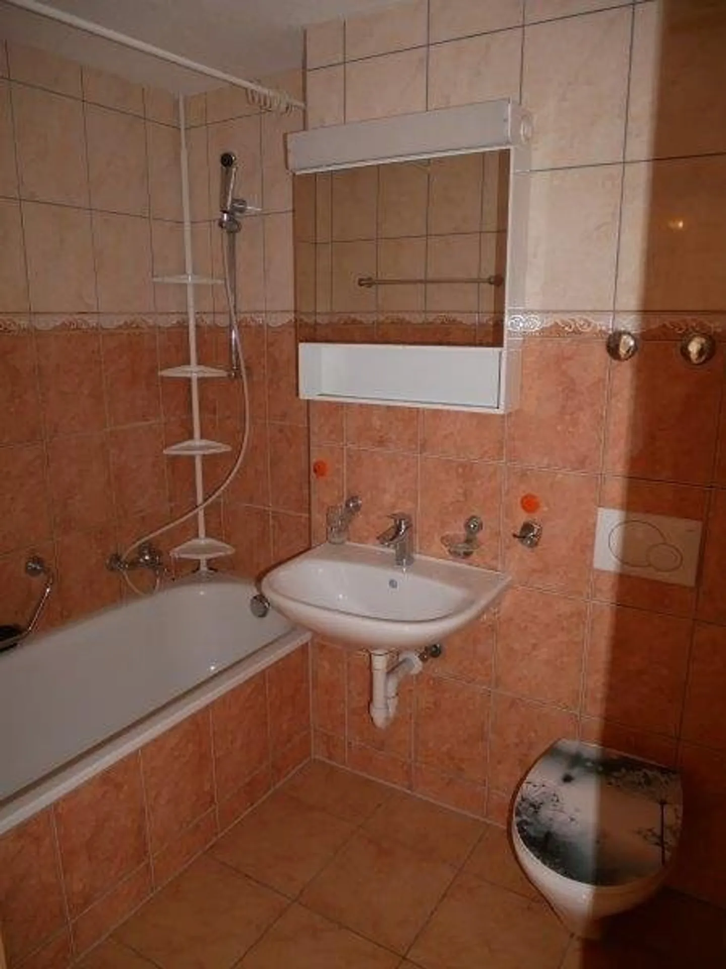 Appartamento 3 locali con soffitta interna - Foto 5 di 7