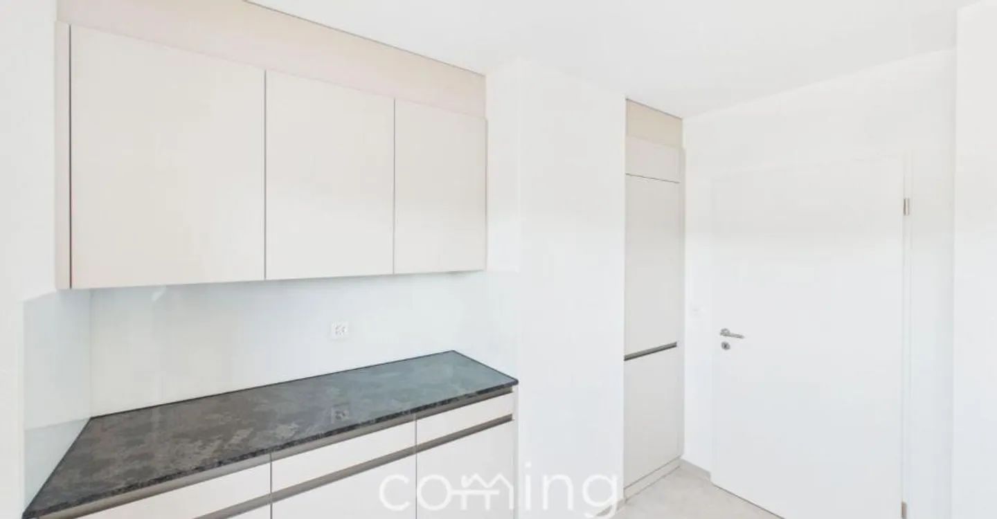 Appartement penthouse rénové de 4 pièces à Wöschnau avec grande terrasse et vues panoramiques - Photo 4 sur 13