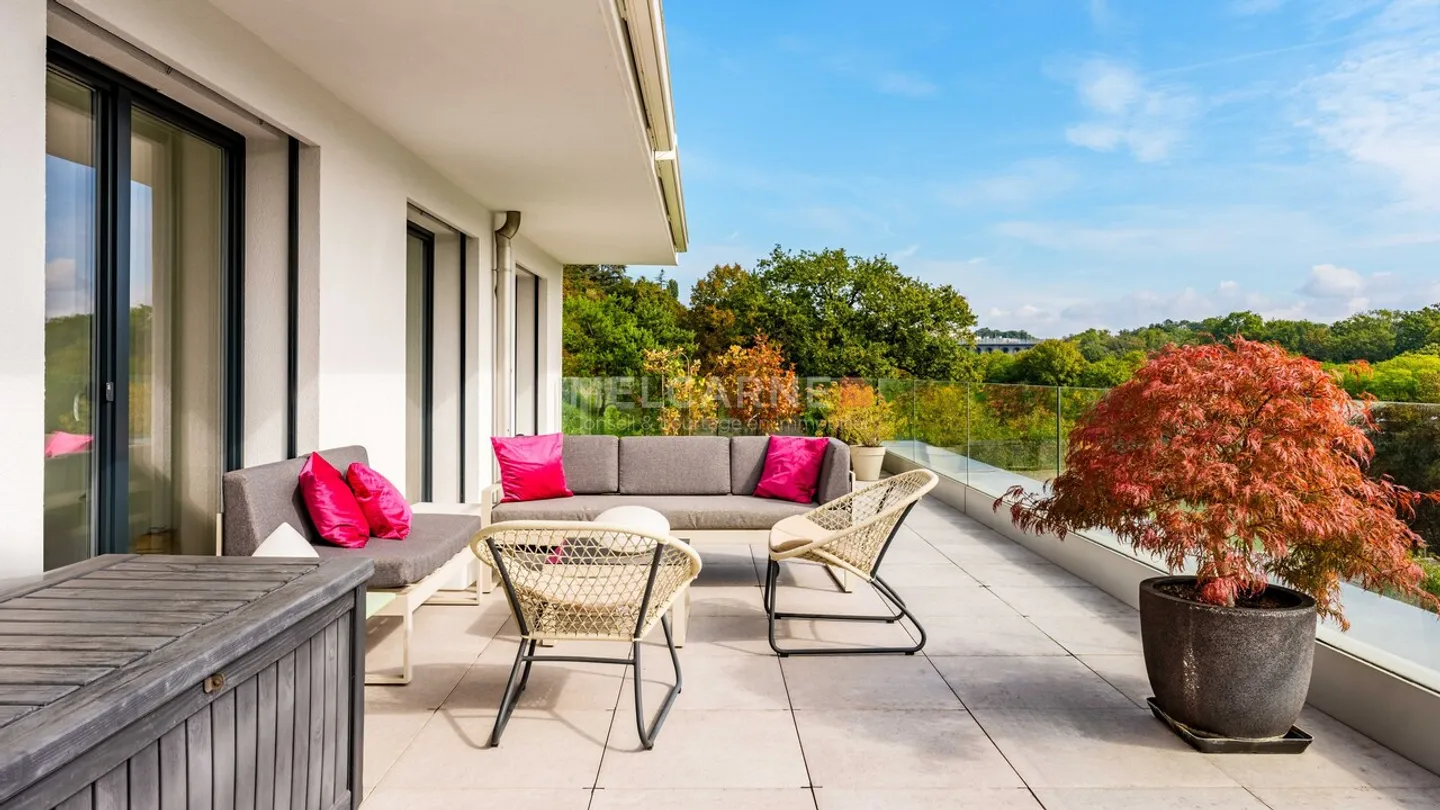 5 rooms terrace with panoramic view of nature - Photo 1 of 12