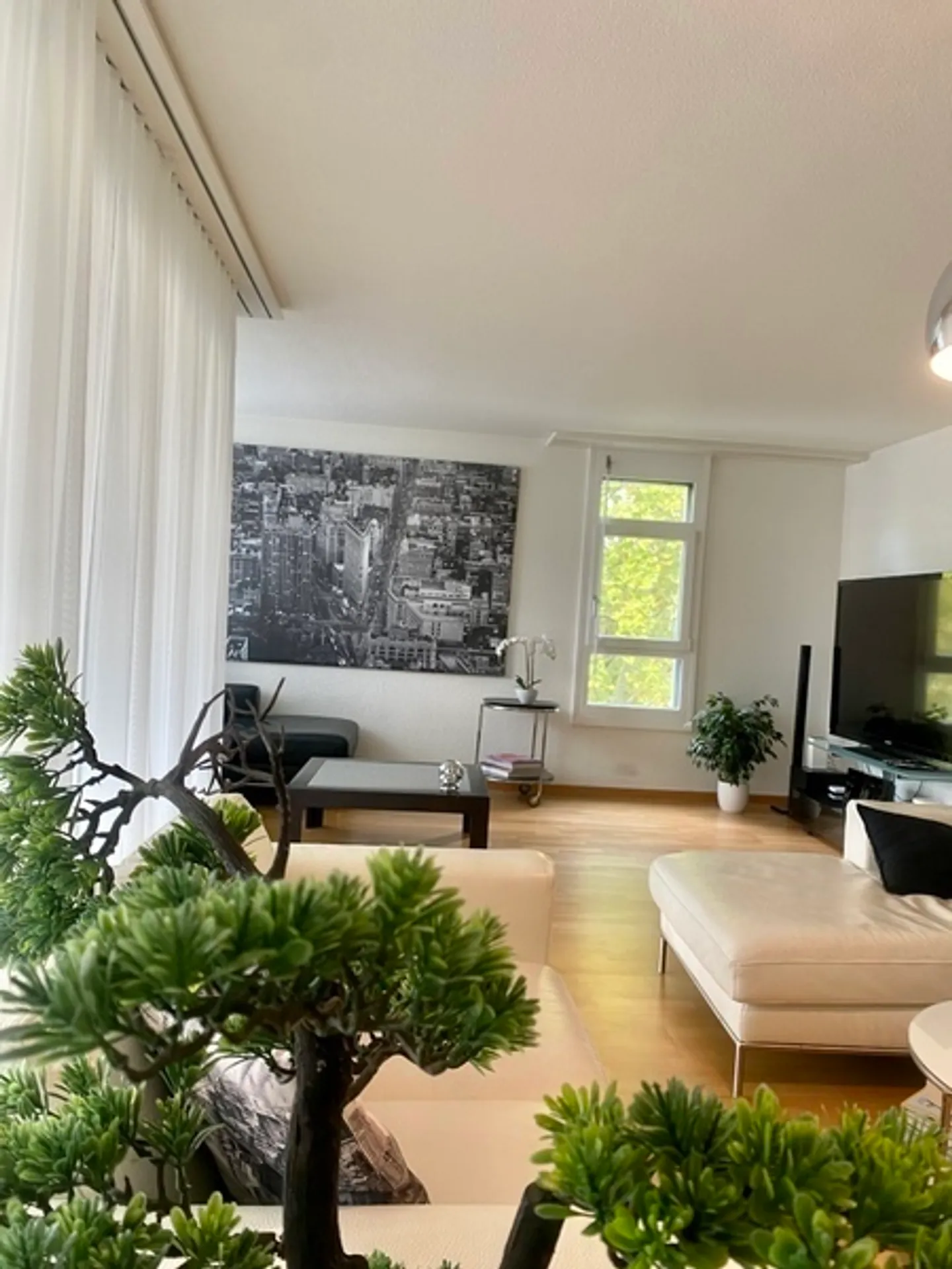 Appartamento 6 locali a Berna - Marzili, arredato, temporaneo - Foto 4 di 9