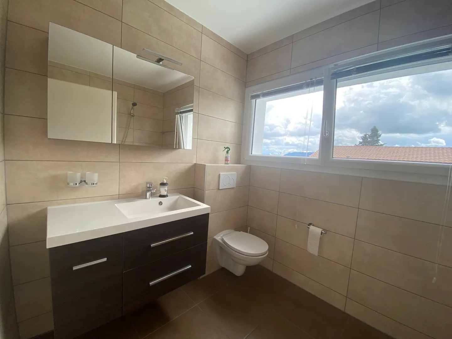 Very beautiful individual house with 5.5 rooms - Photo 16 of 19
