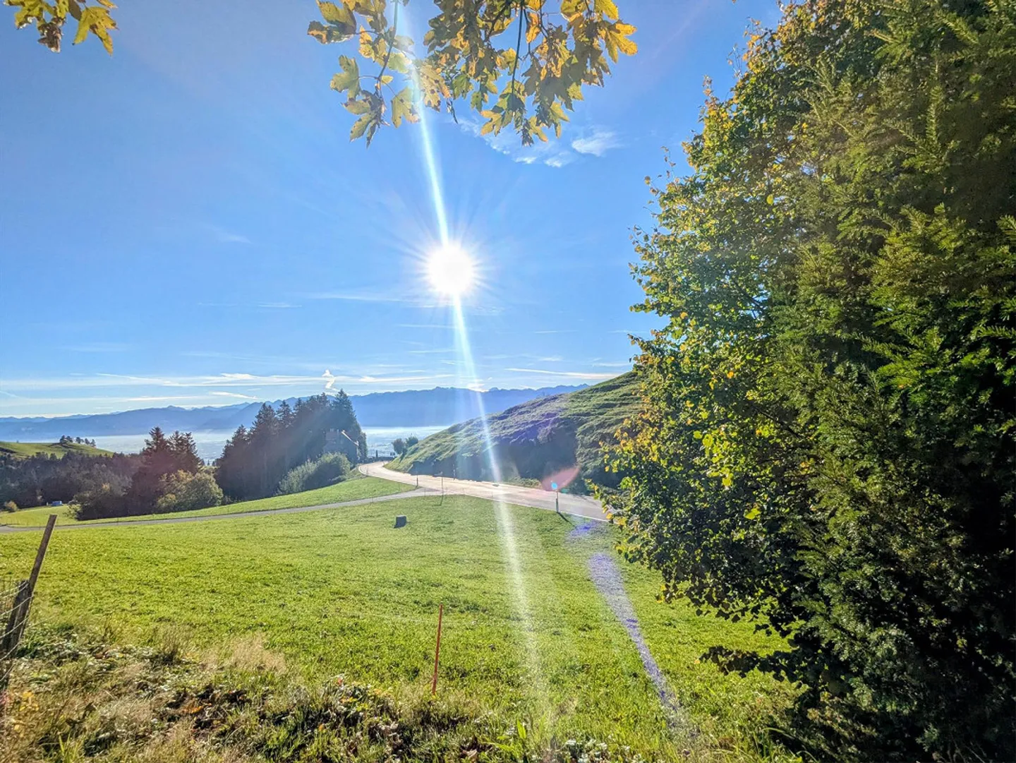 Occasione Unica - Foto 4 di 13