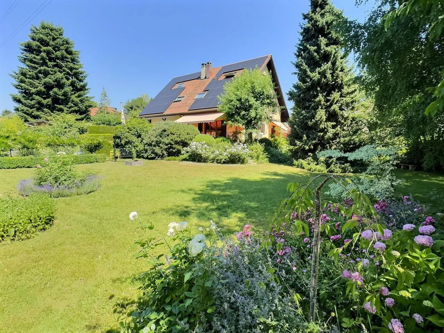 Magnifica casa in usufrutto occupato senza affitto - Foto 3 di 17