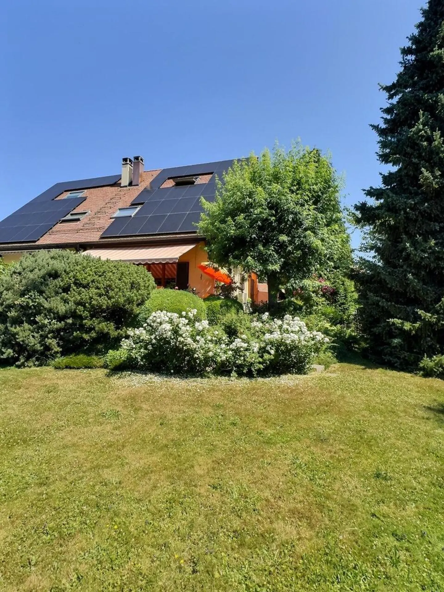 Magnifica casa in usufrutto occupato senza affitto - Foto 4 di 17
