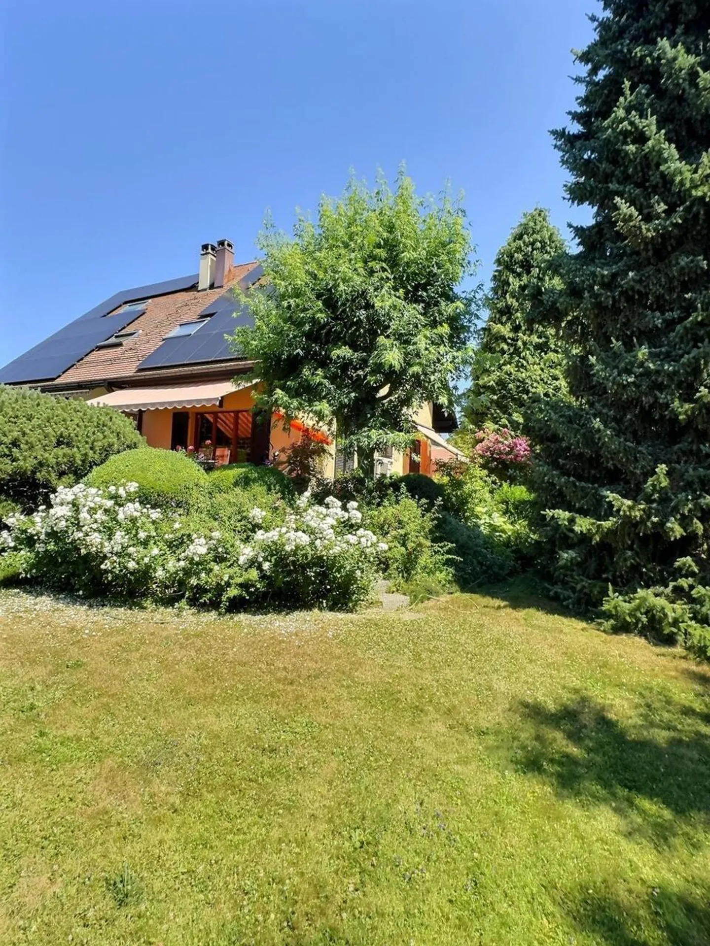 Magnifica casa in usufrutto occupato senza affitto - Foto 5 di 17