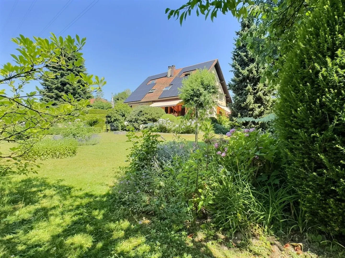 Magnifica casa in usufrutto occupato senza affitto - Foto 6 di 17
