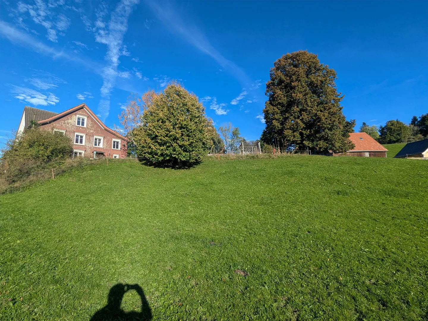 Occasione Unica - Foto 13 di 13