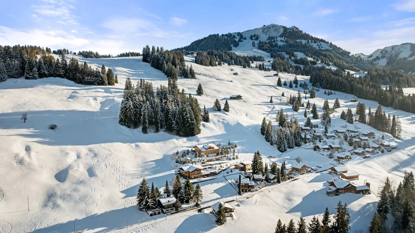 ASTA!!! REGIONE DI GSTAAD SKI IN SKI OUT!!! - Foto 20 di 22