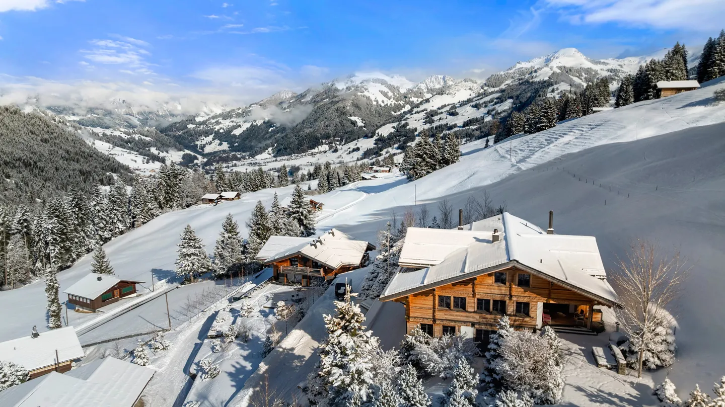 ASTA!!! REGIONE DI GSTAAD SKI IN SKI OUT!!! - Foto 21 di 22