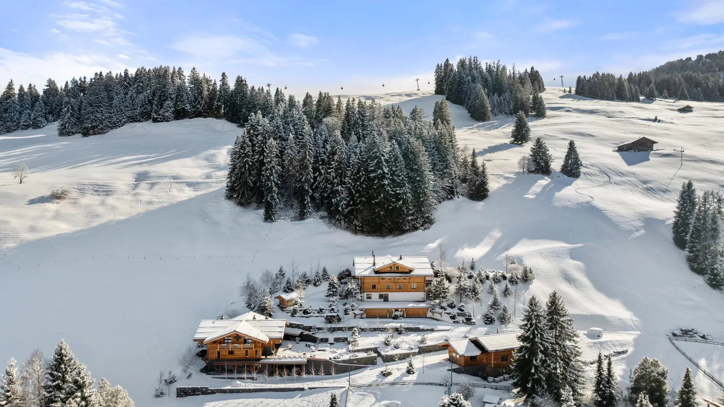 ASTA!!! REGIONE DI GSTAAD SKI IN SKI OUT!!! - Foto 22 di 22