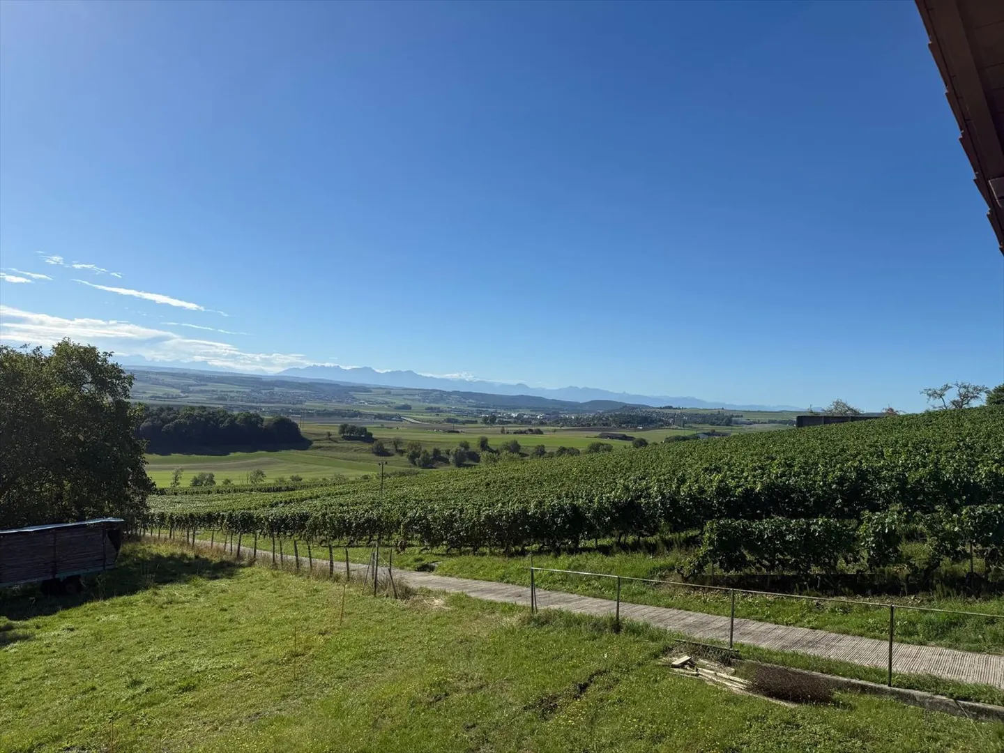 Near Orbe, Villa-Chalet with large plot - Photo 2 of 13