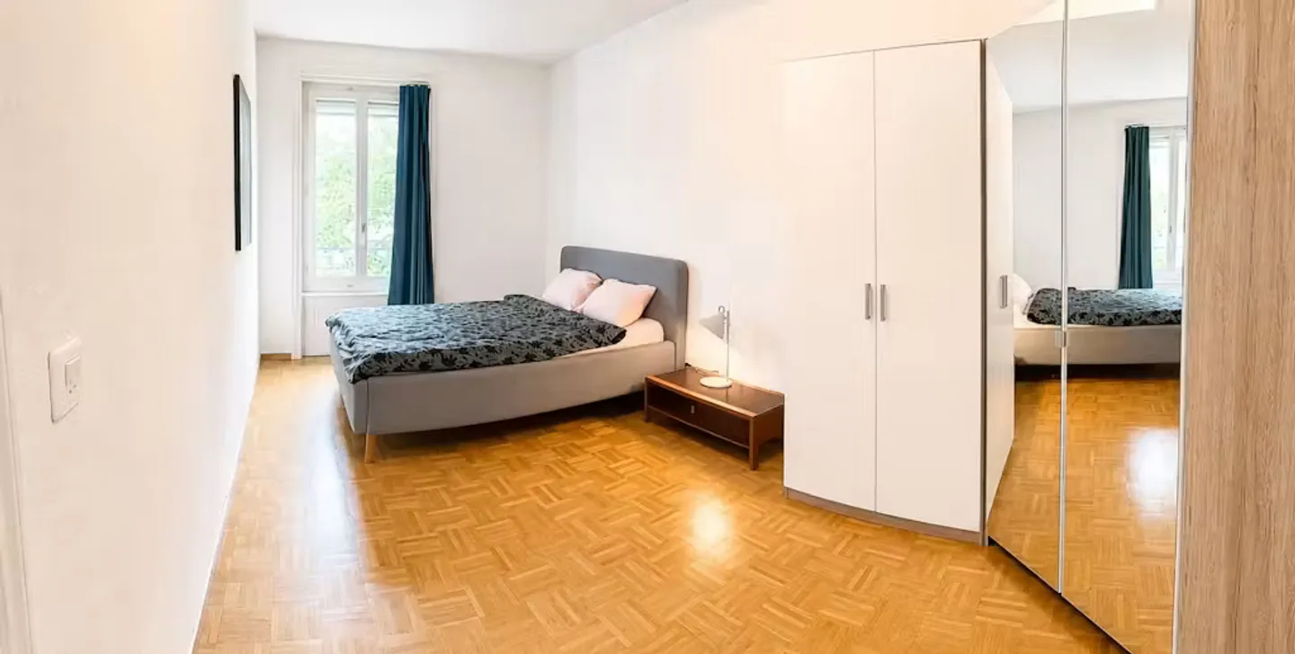 Charming Apartment in Zürich - Photo 5 of 10