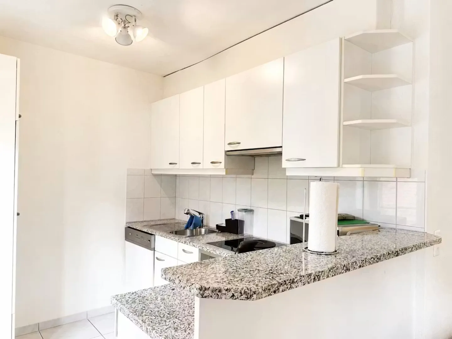 Charming Apartment in Zürich - Photo 9 of 10