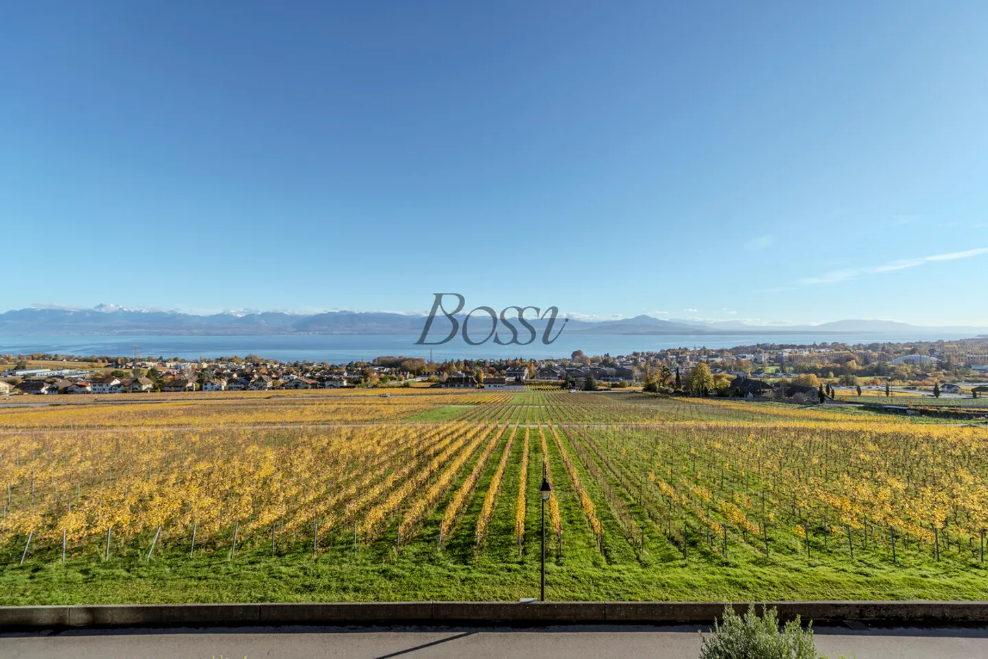 A 8 mn de la gare de Rolle, attique avec vue lac-Alpes-vignobles - Photo 16 sur 16