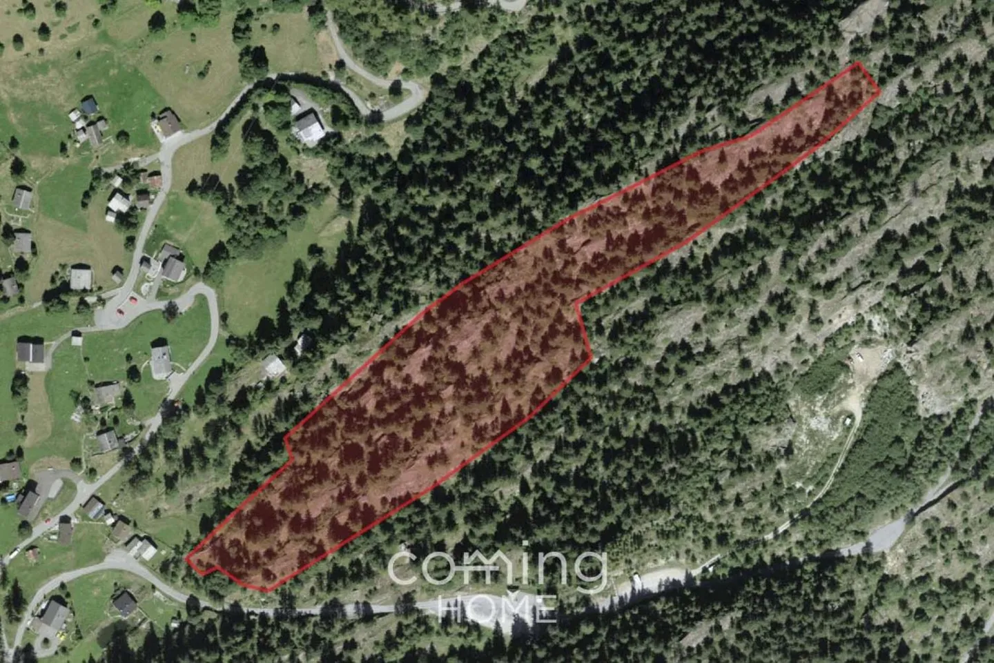 Propriété forestière à Blatten près de Naters - Terrain proche de la nature avec une ambiance montagnarde dans le Valais - Photo 1 sur 4