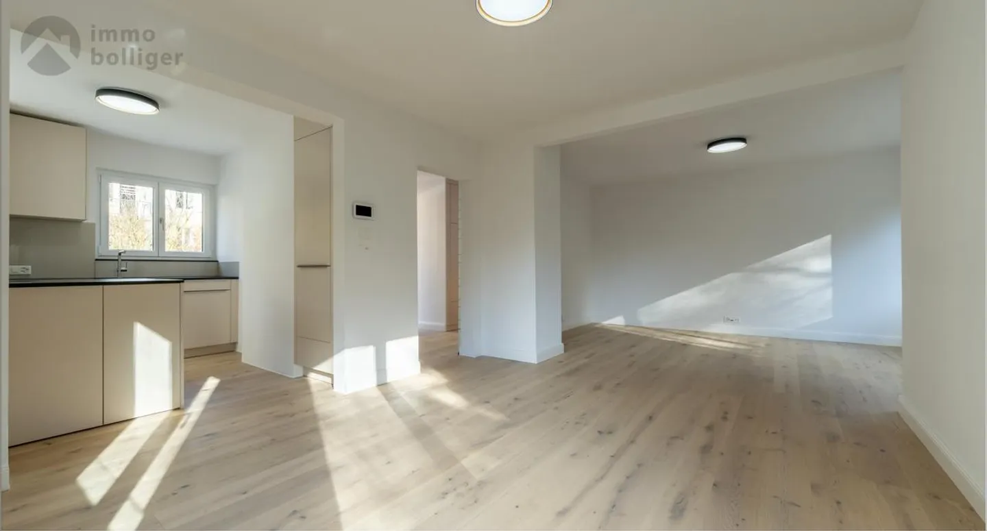 Casa moderna ristrutturata in una posizione ambita a Olten - Foto 3 di 16