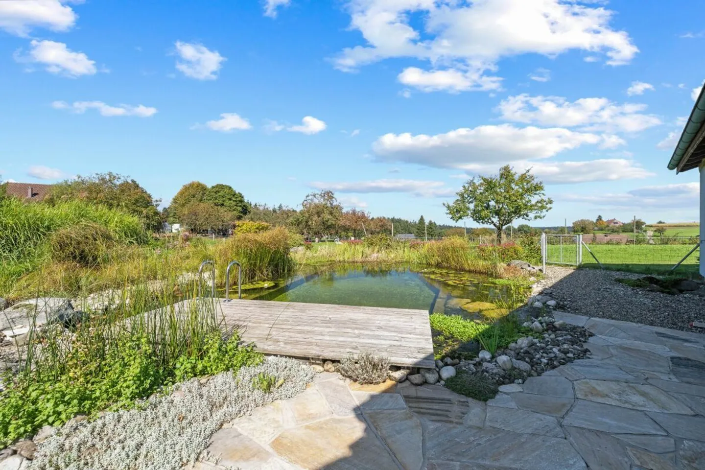 NATUR PUR: SCHWIMMTEICH, BLICK INS GRÜNE UND PLATZ FÜR KLEINTIERE - Foto 7 von 8