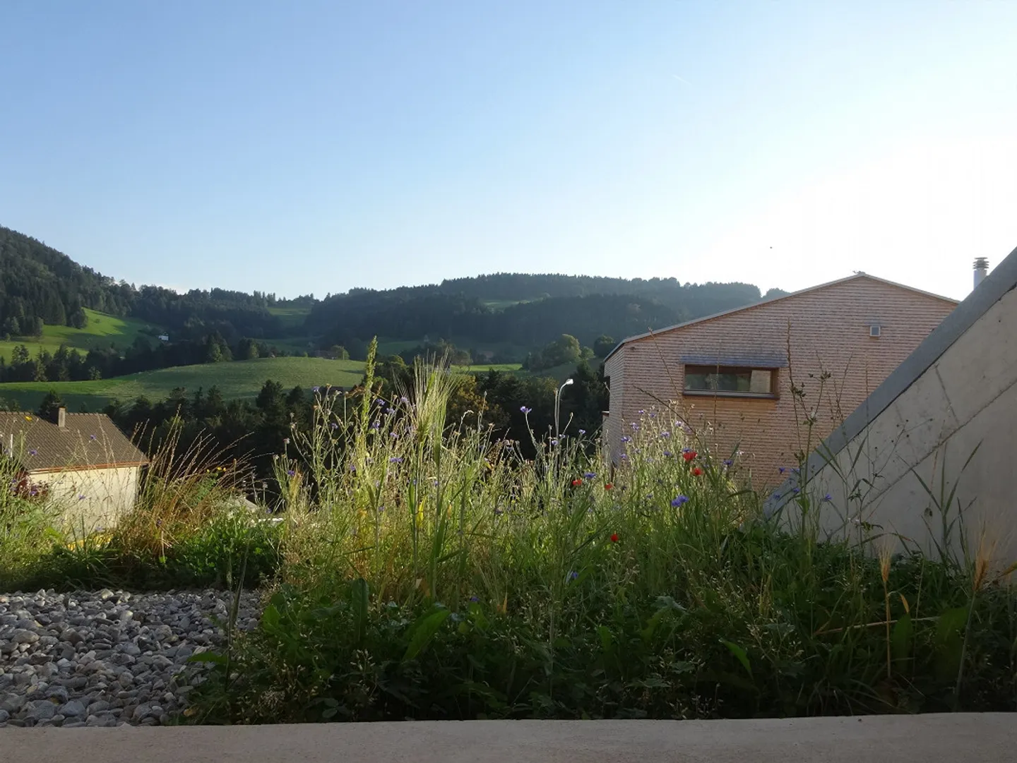 Beautiful living with a view! - Photo 2 of 21