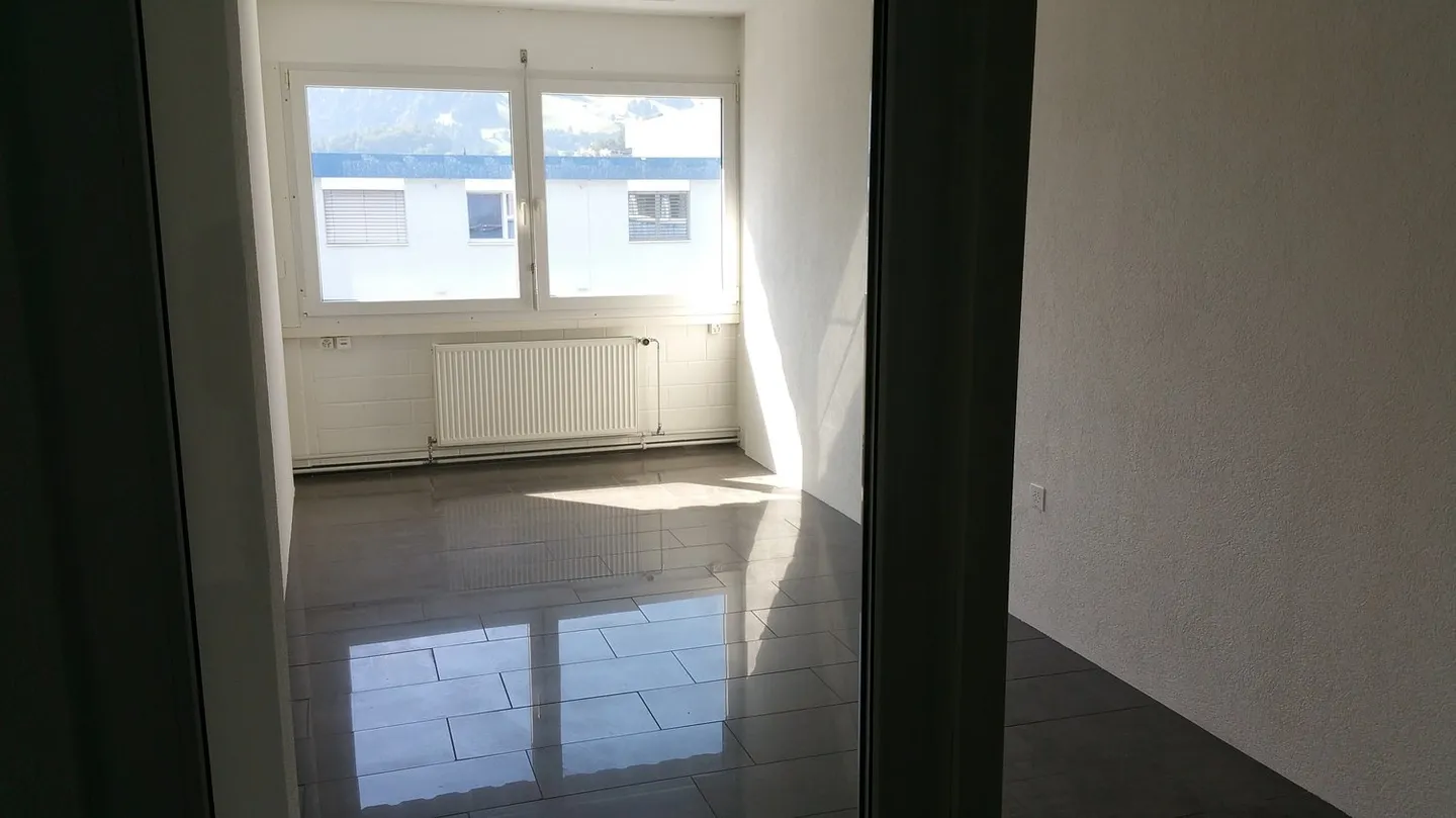 Wheelchair Accessible Commercial Space in the Center of Frutigen - Photo 3 of 8